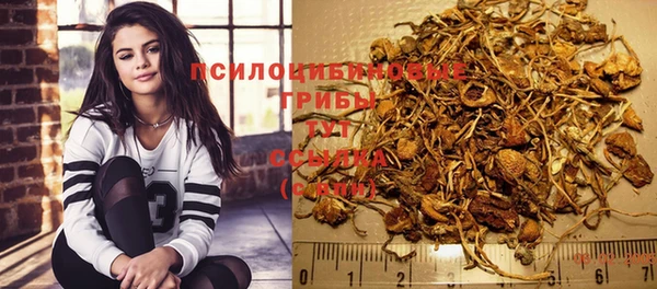 молекула духа Алексеевка