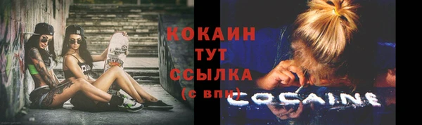 молекула духа Алексеевка