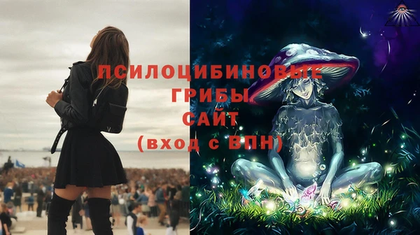 молекула духа Алексеевка