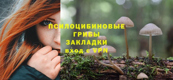 тгк Алзамай