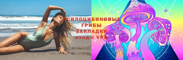 молекула духа Алексеевка