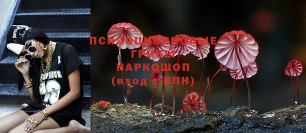 тгк Алзамай
