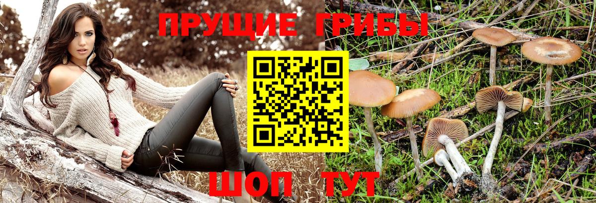 Дзержинск  Галлюциногенные грибы Magic Shrooms  Вход с VPN  Псилоцибиновые грибы мухоморы 