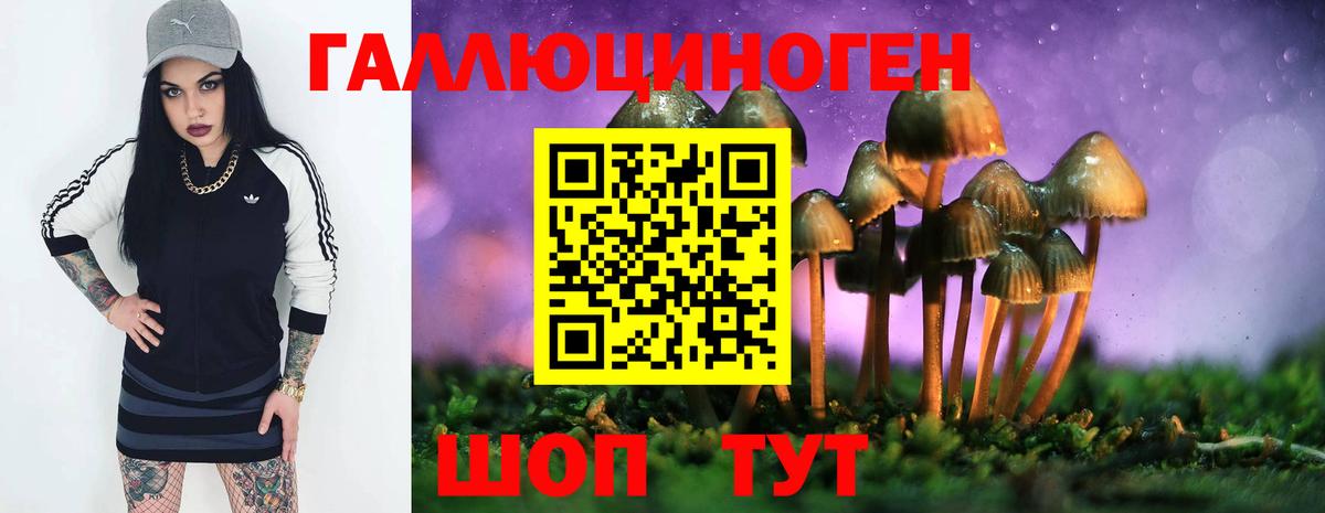 Псилоцибиновые грибы Psilocybine cubensis Дзержинск